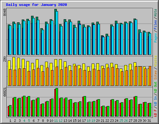 Daily usage for January 2020