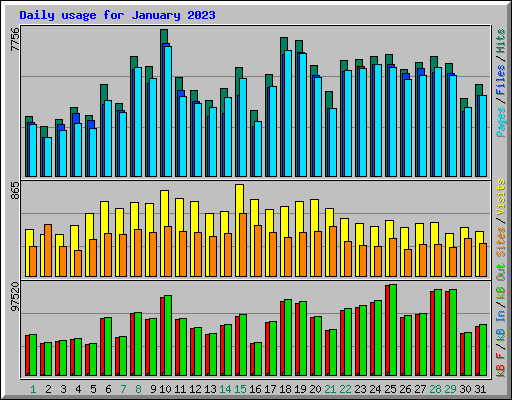 Daily usage for January 2023