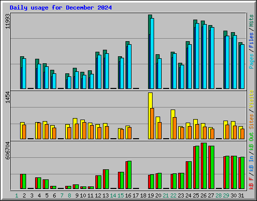 Daily usage for December 2024