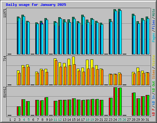 Daily usage for January 2025
