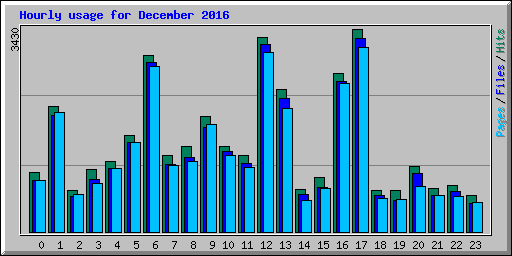 Hourly usage for December 2016