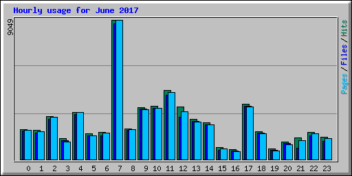 Hourly usage for June 2017