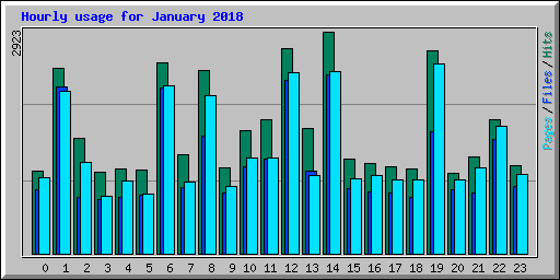 Hourly usage for January 2018