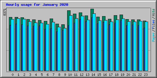 Hourly usage for January 2020
