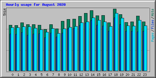 Hourly usage for August 2020