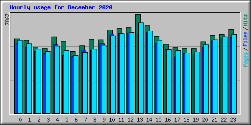 Hourly usage for December 2020
