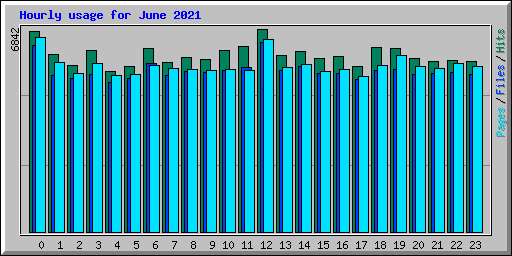 Hourly usage for June 2021