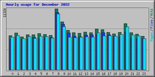 Hourly usage for December 2022