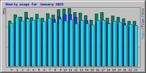Hourly usage for January 2023