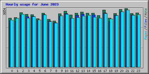 Hourly usage for June 2023