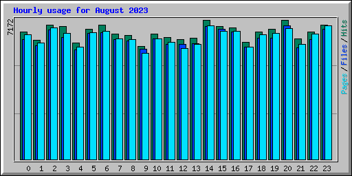 Hourly usage for August 2023