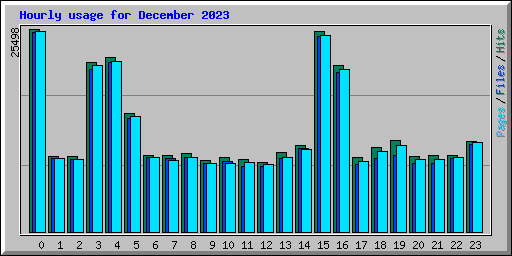Hourly usage for December 2023