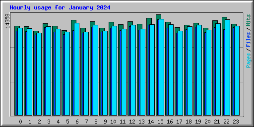 Hourly usage for January 2024