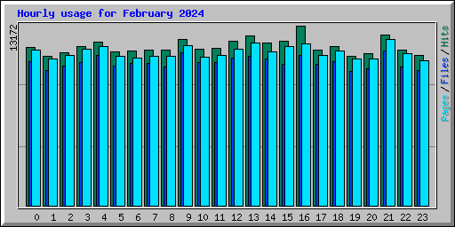 Hourly usage for February 2024