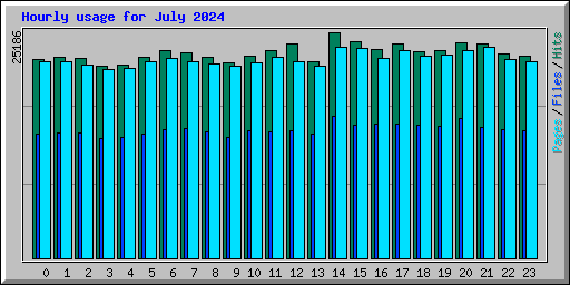 Hourly usage for July 2024