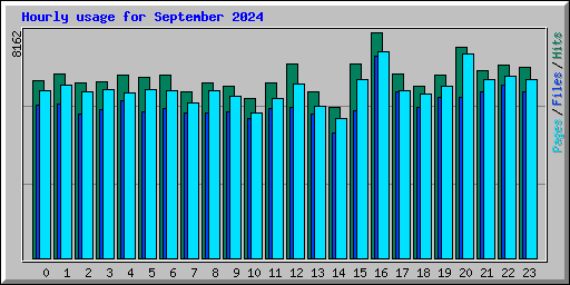 Hourly usage for September 2024