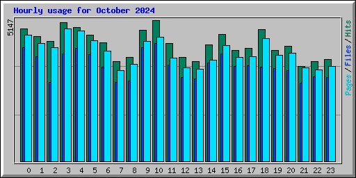 Hourly usage for October 2024