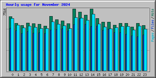 Hourly usage for November 2024