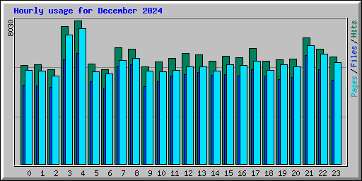 Hourly usage for December 2024