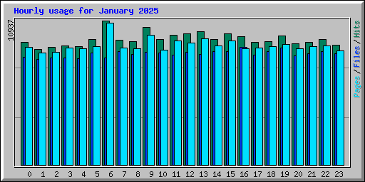 Hourly usage for January 2025