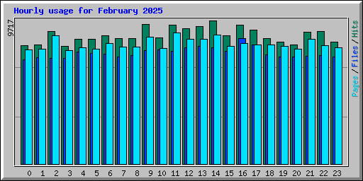 Hourly usage for February 2025