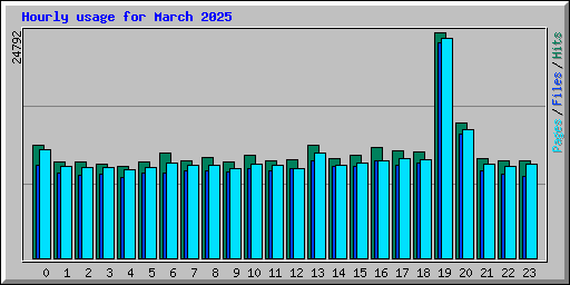 Hourly usage for March 2025
