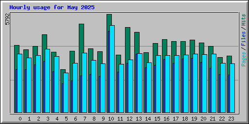 Hourly usage for May 2025
