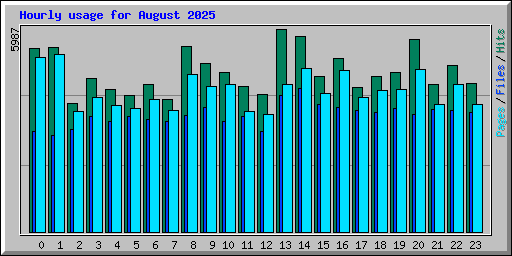 Hourly usage for August 2025