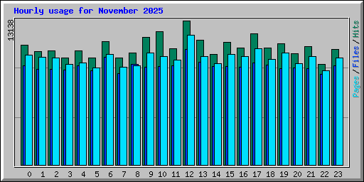 Hourly usage for November 2025