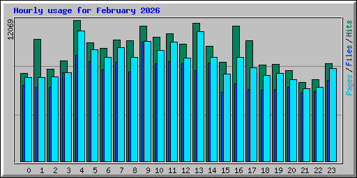 Hourly usage for February 2026