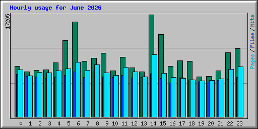 Hourly usage for June 2026