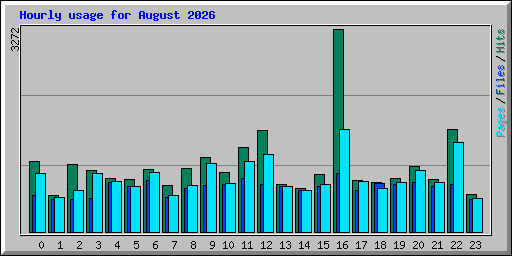 Hourly usage for August 2026